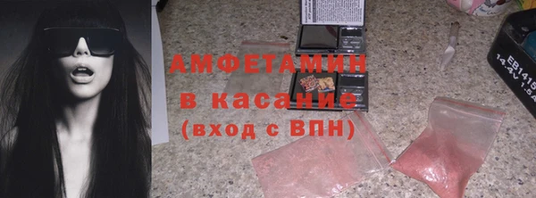 твердый Вяземский