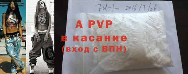 твердый Вяземский