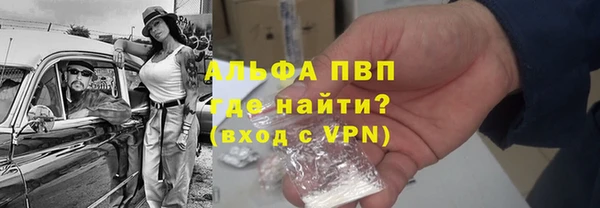 твердый Вяземский