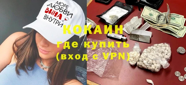 твердый Вяземский