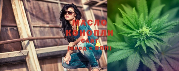 твердый Вяземский