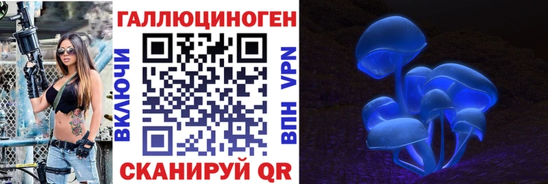 Галлюциногенные грибы Psilocybe  Купить где  Камызяк 